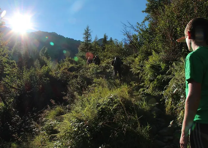 ゲストハウス Nigglhofer オーバーティリアッハ