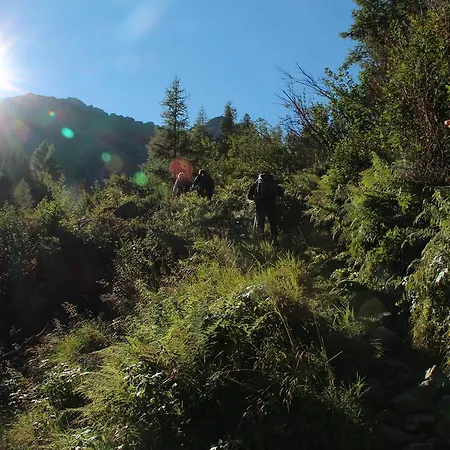 Gasthuis Nigglhofer Obertilliach